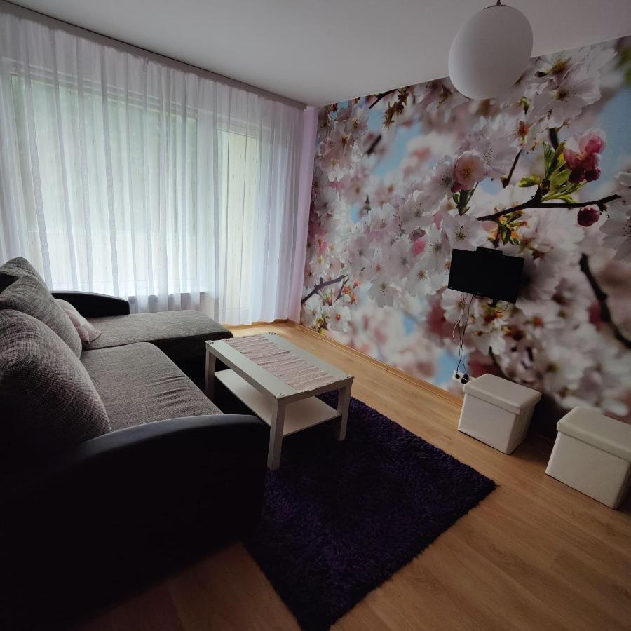 Dainai Apartament 希奥利艾 外观 照片